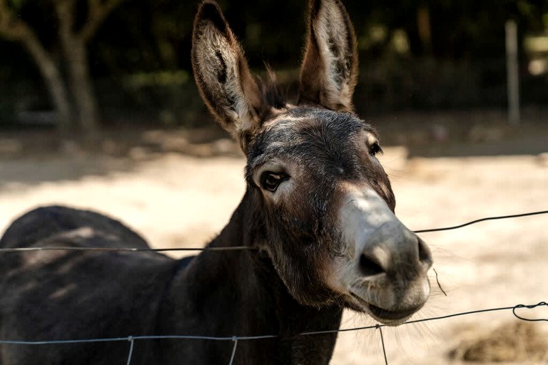 Vacation Rentals (Australia, Gobur, Victoria)