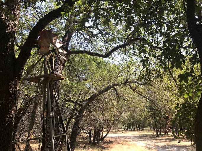 Safari Tents (Morgan, Texas, United States)