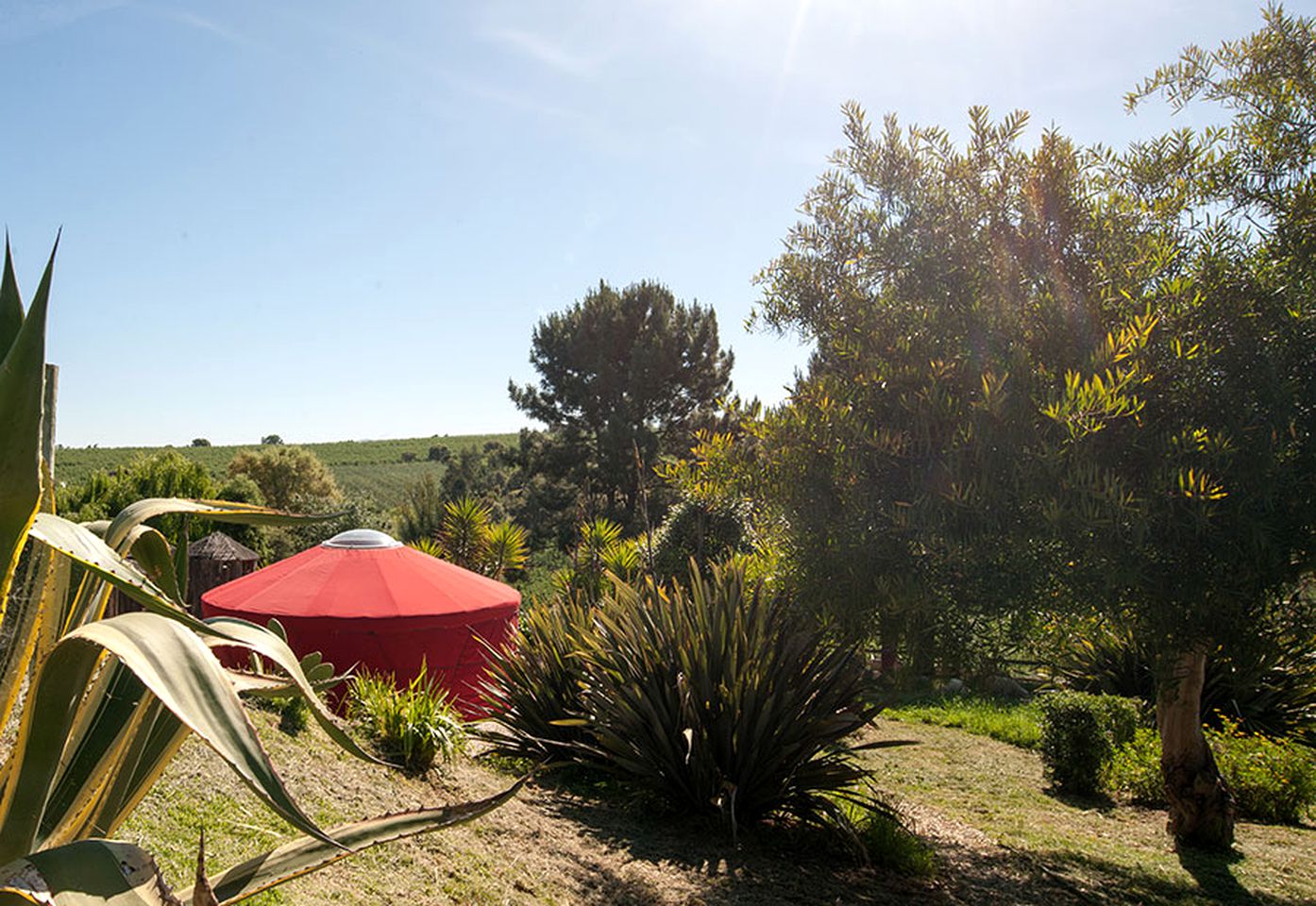 Stunning Glamping Yurt with a Pool near the Costa de Prata in Portugal