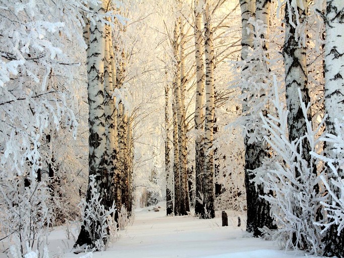 Vacation Rentals (Canada, Baie Saint Paul, Quebec)