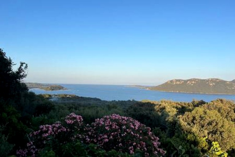 Villas (France, Porto-Vecchio, Corsica)