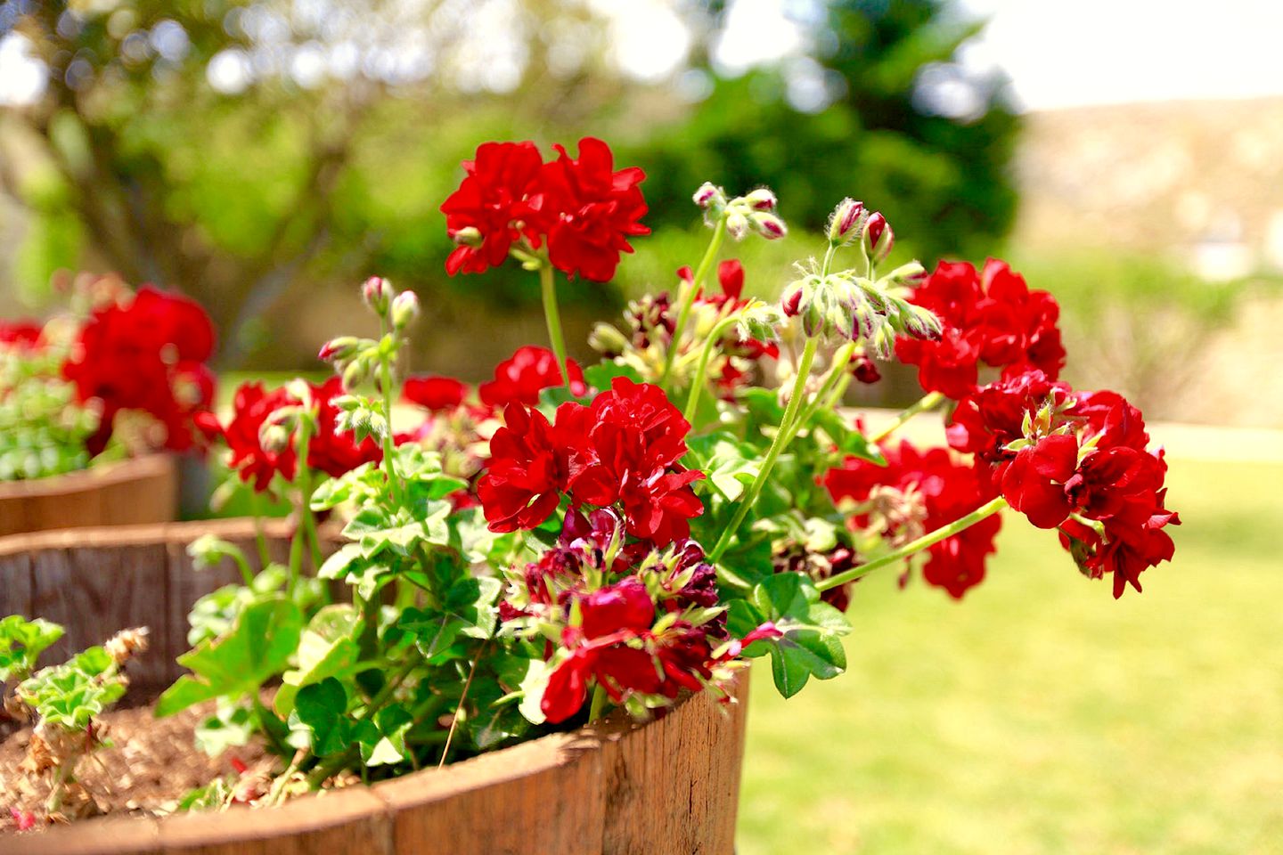 Beautiful Greek Villa, Perfect for a Mediterranean Holiday