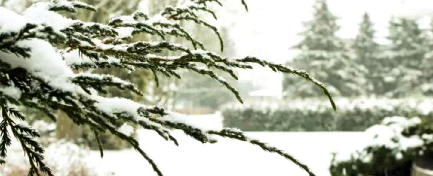 Luxurious Lakefront Vacation Rental for Large Groups near Port Perry in Ontario