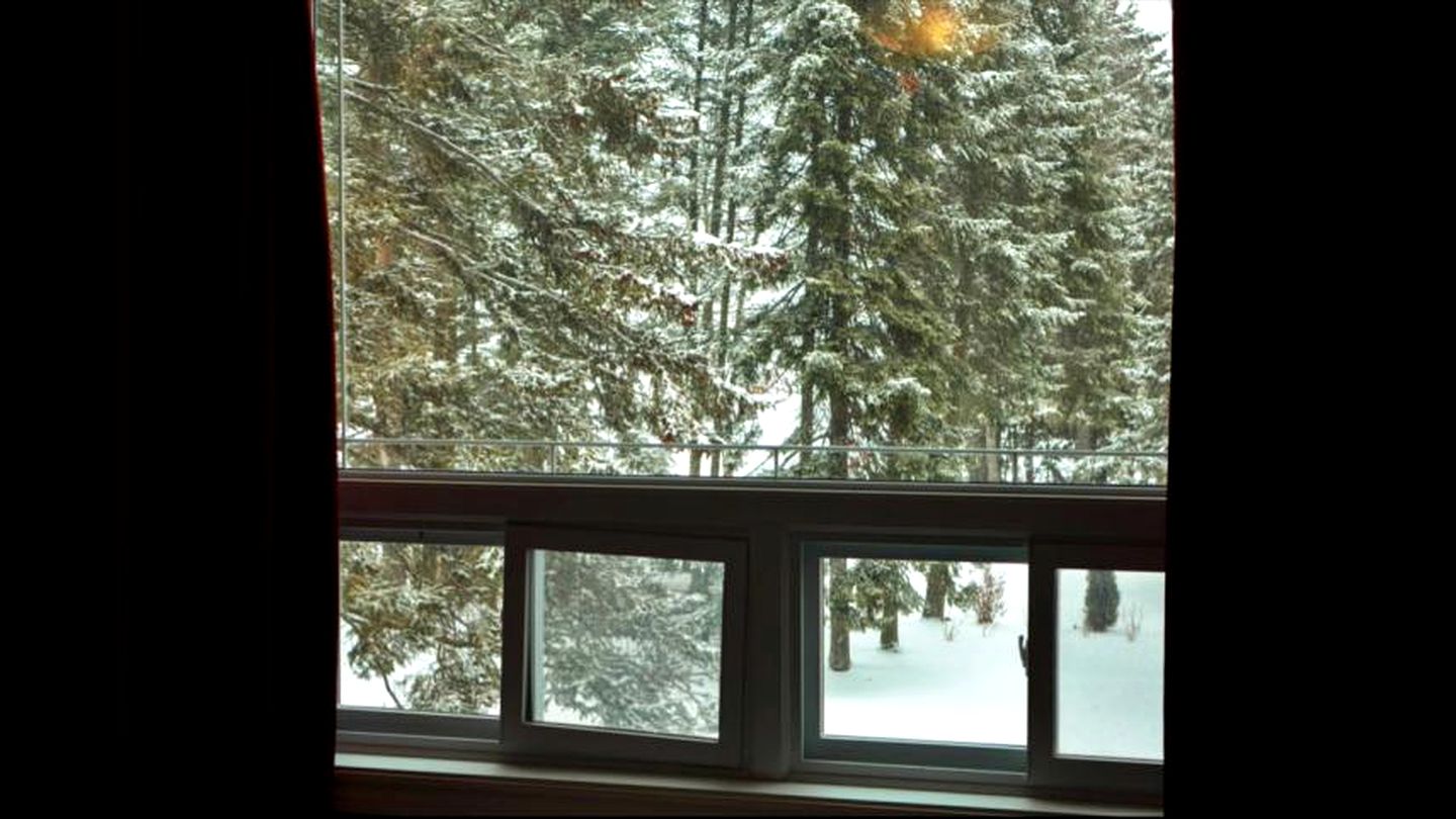 Luxurious Lakefront Vacation Rental for Large Groups near Port Perry in Ontario