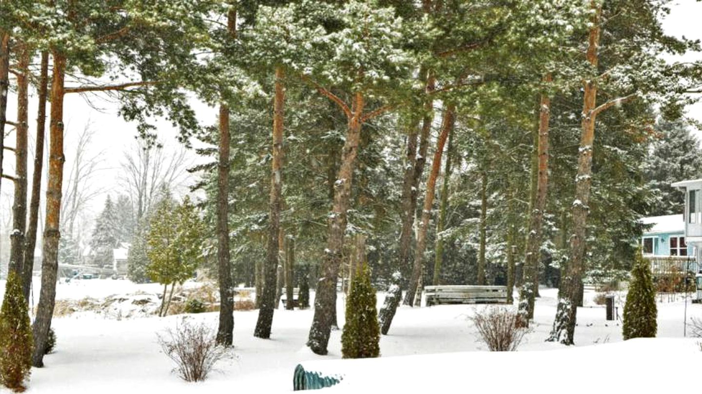 Luxurious Lakefront Vacation Rental for Large Groups near Port Perry in Ontario