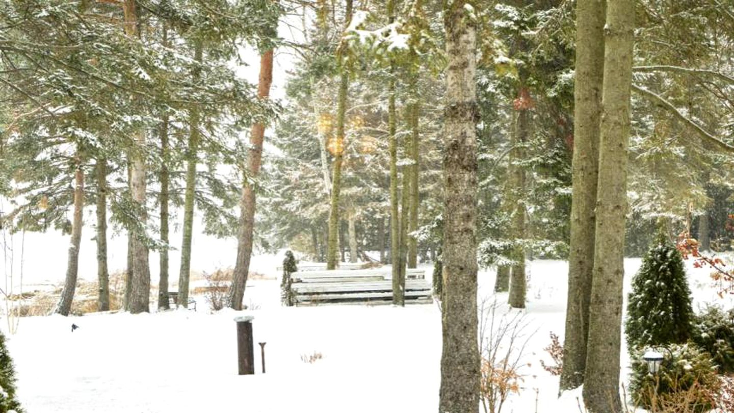 Luxurious Lakefront Vacation Rental for Large Groups near Port Perry in Ontario