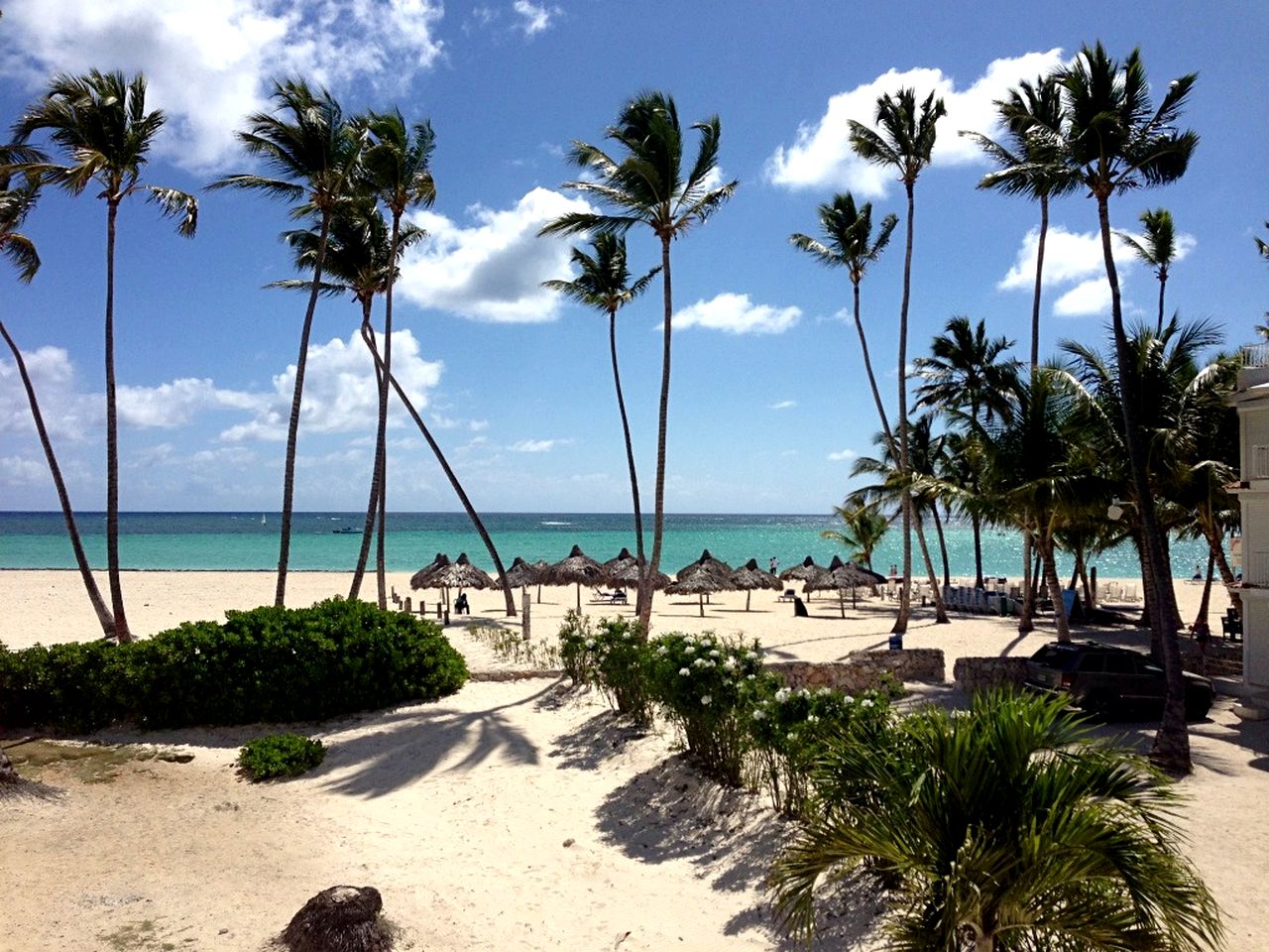 Villas (Dominican Republic, Punta Cana, Punta Cana)