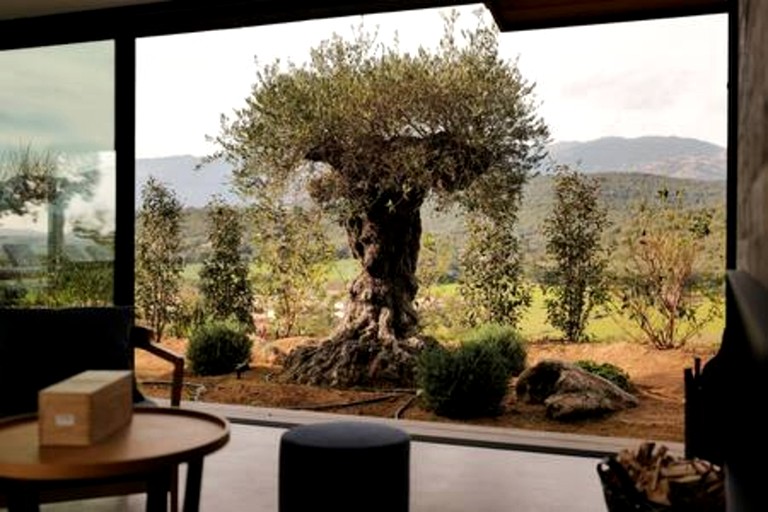 Vacation Rentals (France, Porto-Vecchio, Corsica)