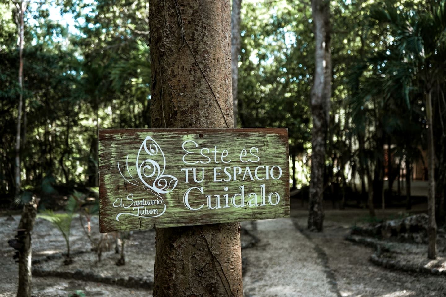 Charming Jungle Villa with Private Jacuzzi near Cenotes in Chemuyil, Quintana Roo