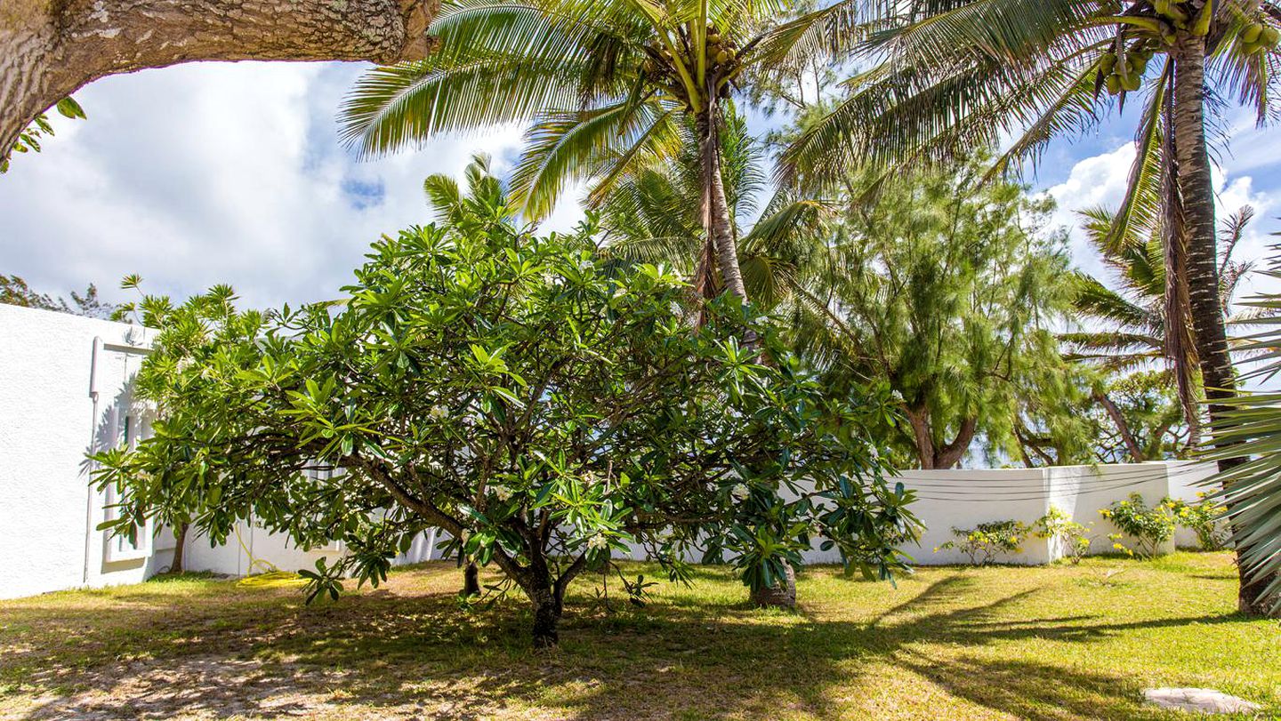 Spacious Oceanfront Villa with a Private Swimming Pool in Poste Lafayette, Mauritius