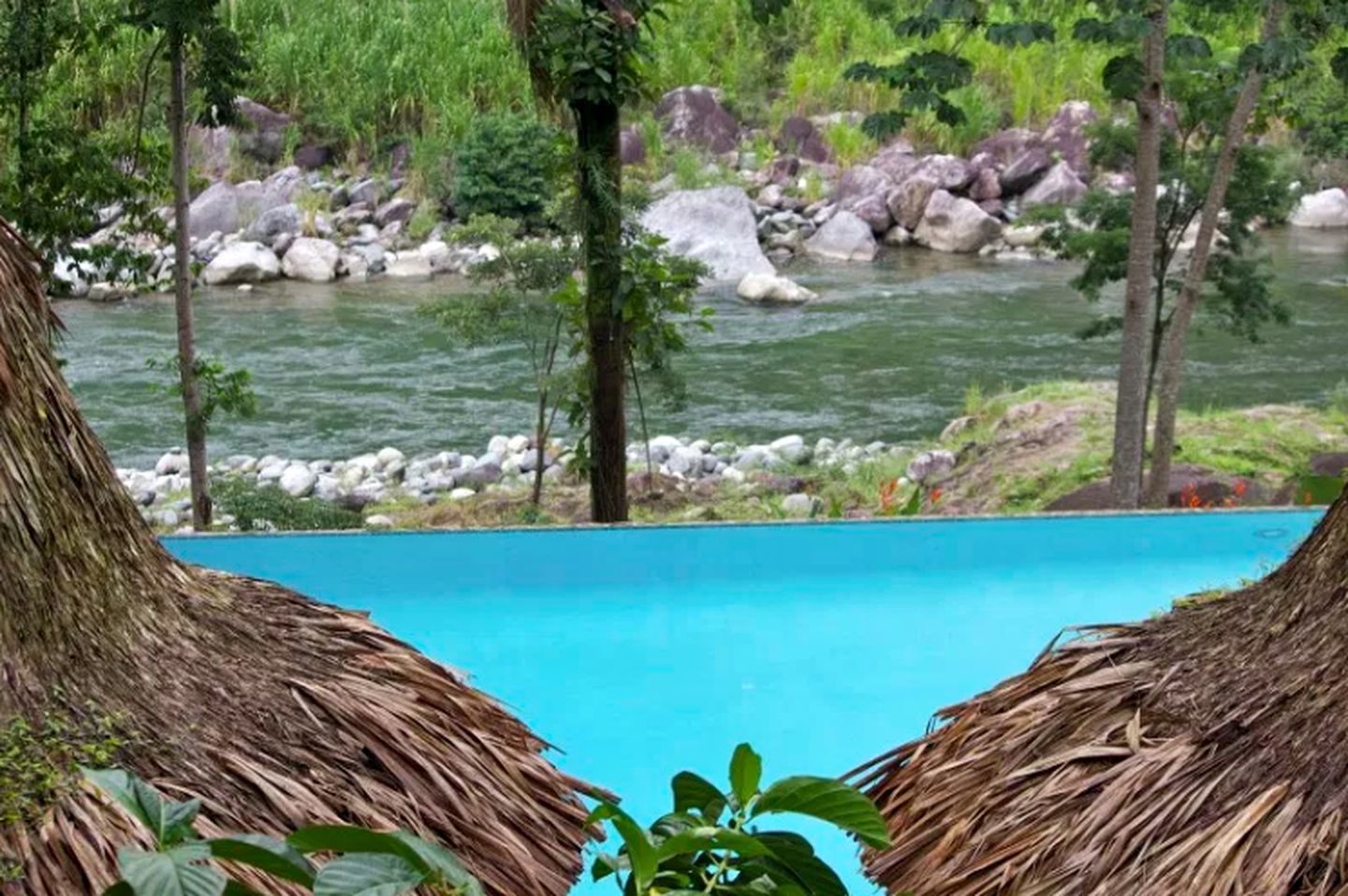 Rainforest Villa Rental with a Shared Swimming Pool in La Ceiba, Honduras