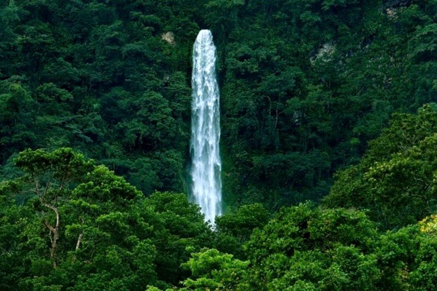 Cozy Cottage Rental Surrounded by a Lush Garden and Jungle near Sambo Creek, Honduras