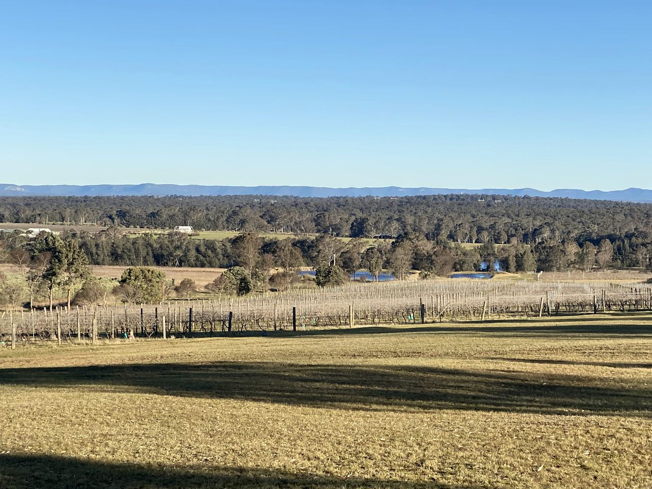 Hunter Region Tiny House for Glamping on a Vineyard