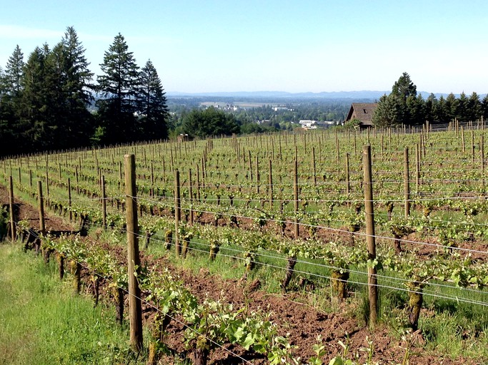 Nature Lodges (Newberg, Oregon, United States)