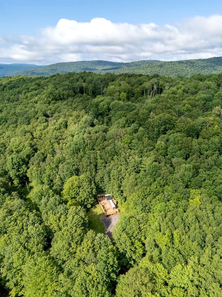 Vintage Airstream Retreat with Private Deck & Outdoor Shower in Delancey, New York