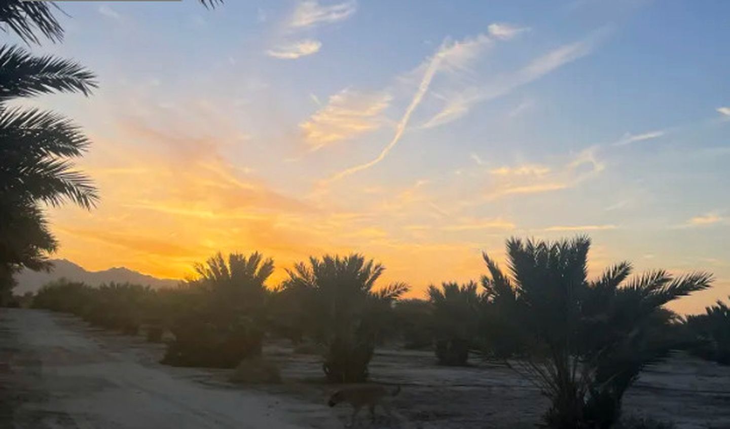 Vintage Desert Camper with Amazing Hiking Trails and Sunset Views in Arizona
