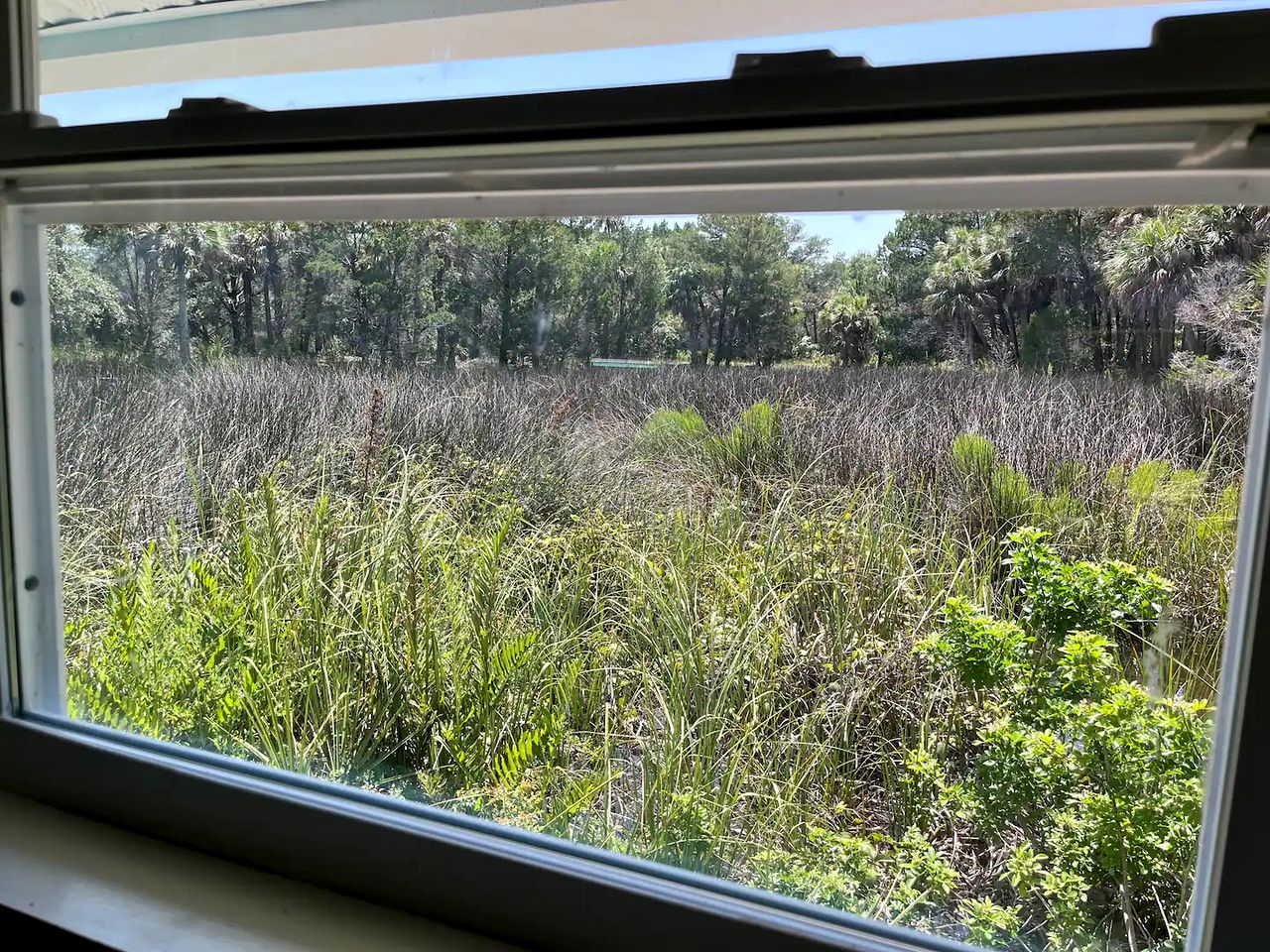 Cozy Calm Cottage with Lake Access in Weeki Wachee, Florida