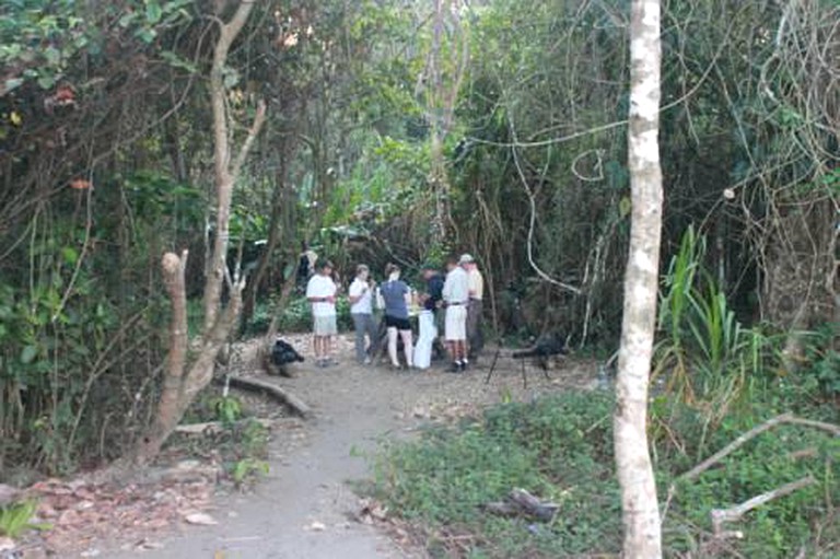 Cabins (Drake Bay, Puntarenas, Costa Rica)