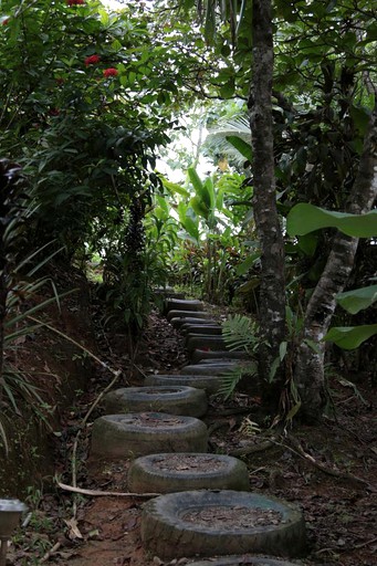 Nature Lodges (Drake Bay, Puntarenas, Costa Rica)