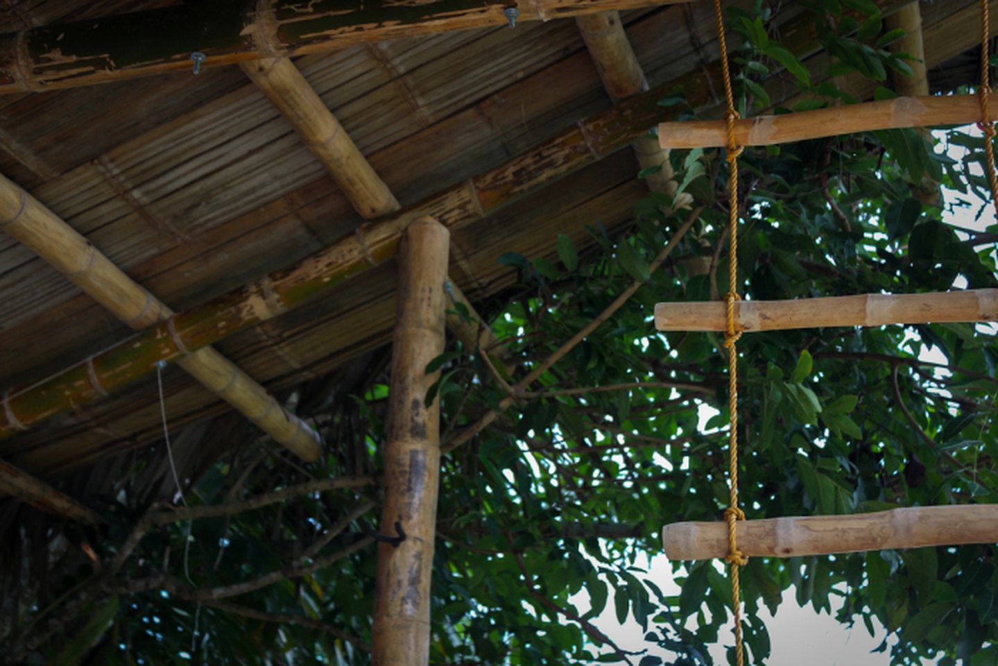 Rustic Hut Rental Tucked Away in the Forest near Montañita, Ecuador