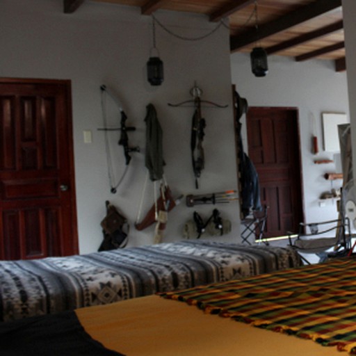 Nature Lodges (Siena, Tuscany, Italy)
