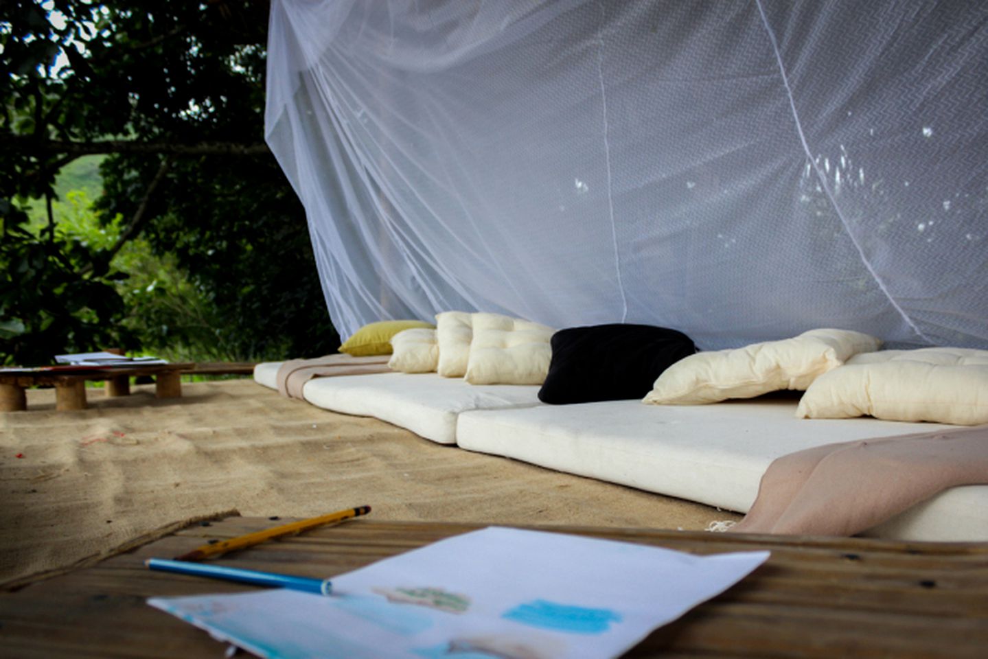 Vivientes Org - Museum Homestay - Nature Lodge