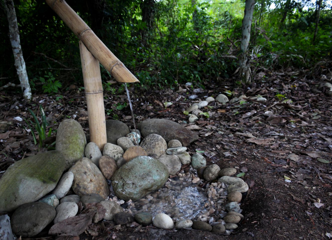 Vivientes Org - Museum Homestay - Nature Lodge