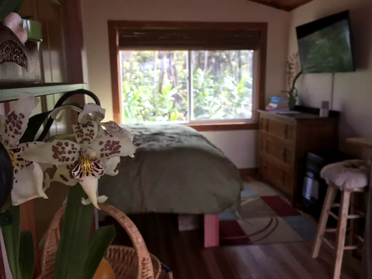Amazing Eco-Friendly Cabin for Two near Volcano National Park, Hawaii