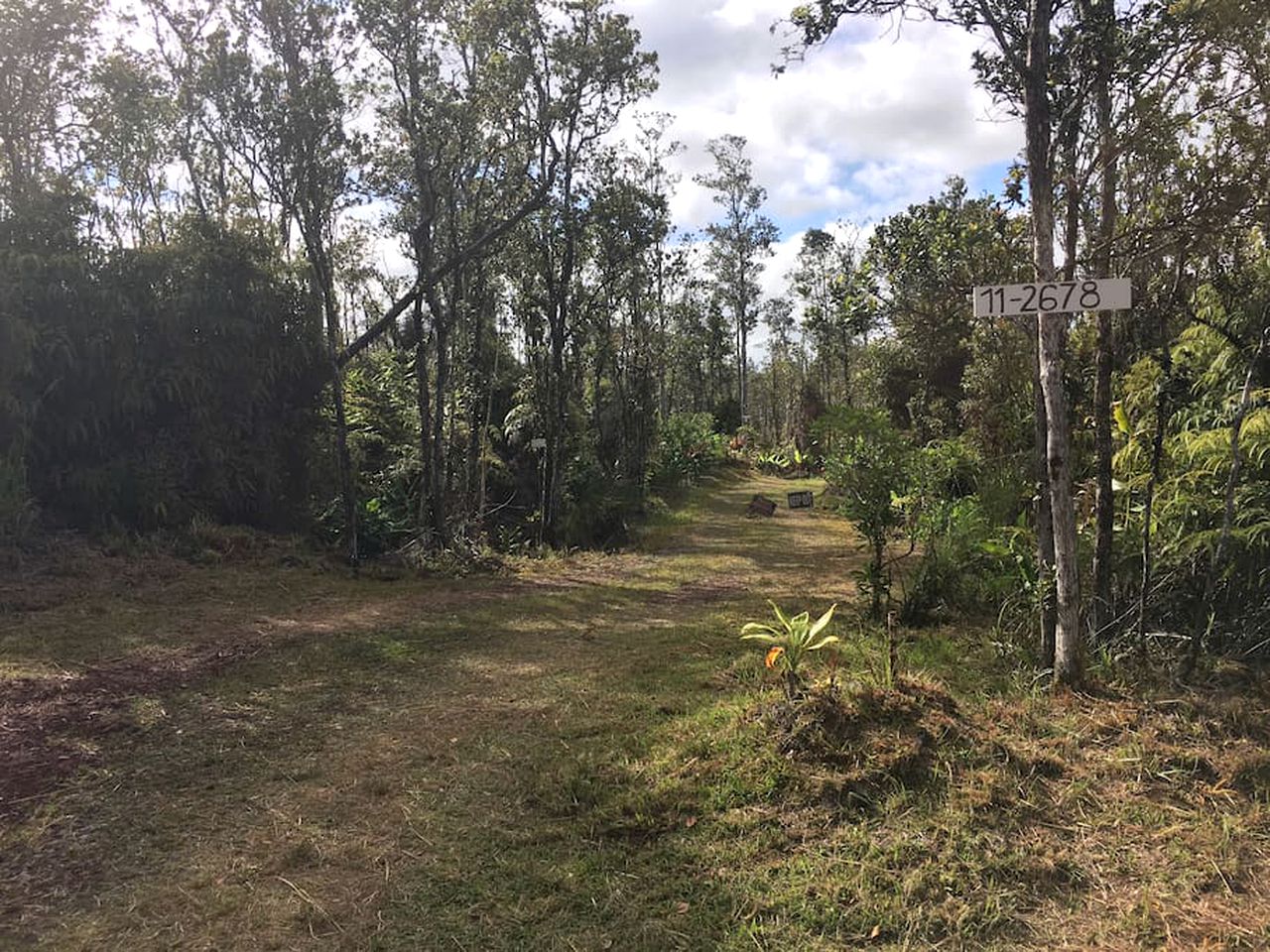 Amazing Eco-Friendly Cabin for Two near Volcano National Park, Hawaii