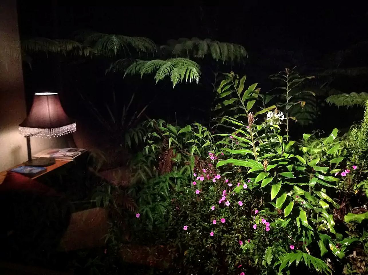 Intimate and Secluded Rainforest Retreat near Volcanoes National Park, Hawaii