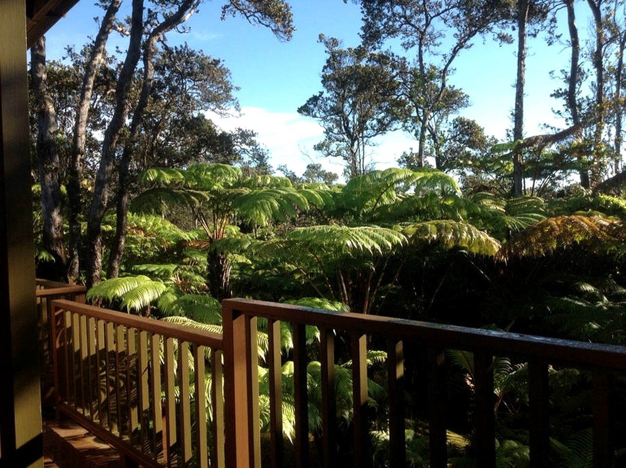 Intimate and Secluded Rainforest Retreat near Volcanoes National Park, Hawaii