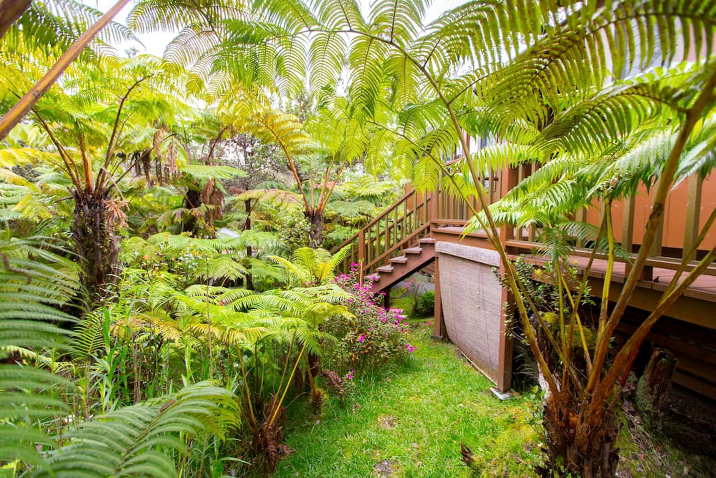 Intimate and Secluded Rainforest Retreat near Volcanoes National Park, Hawaii