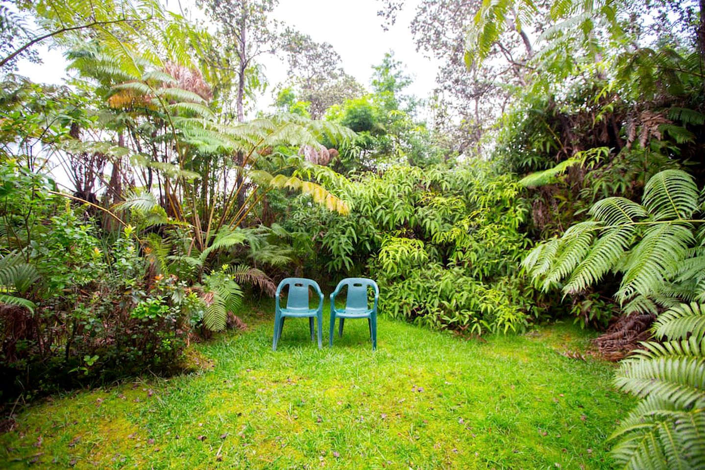 Intimate and Secluded Rainforest Retreat near Volcanoes National Park, Hawaii