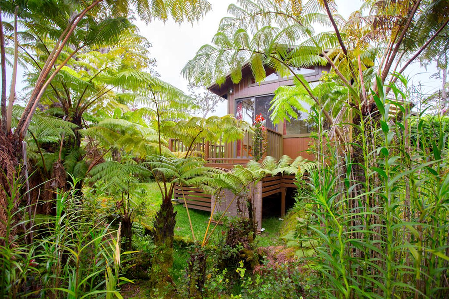 Intimate and Secluded Rainforest Retreat near Volcanoes National Park, Hawaii
