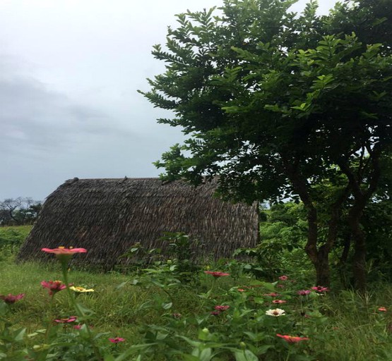 Huts (El Nido, Luzon, Philippines)