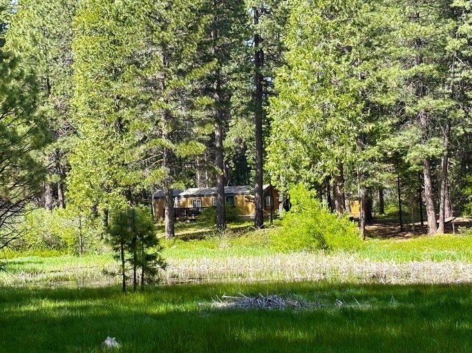 Vacation Rentals (United States of America, Mount Shasta, California)