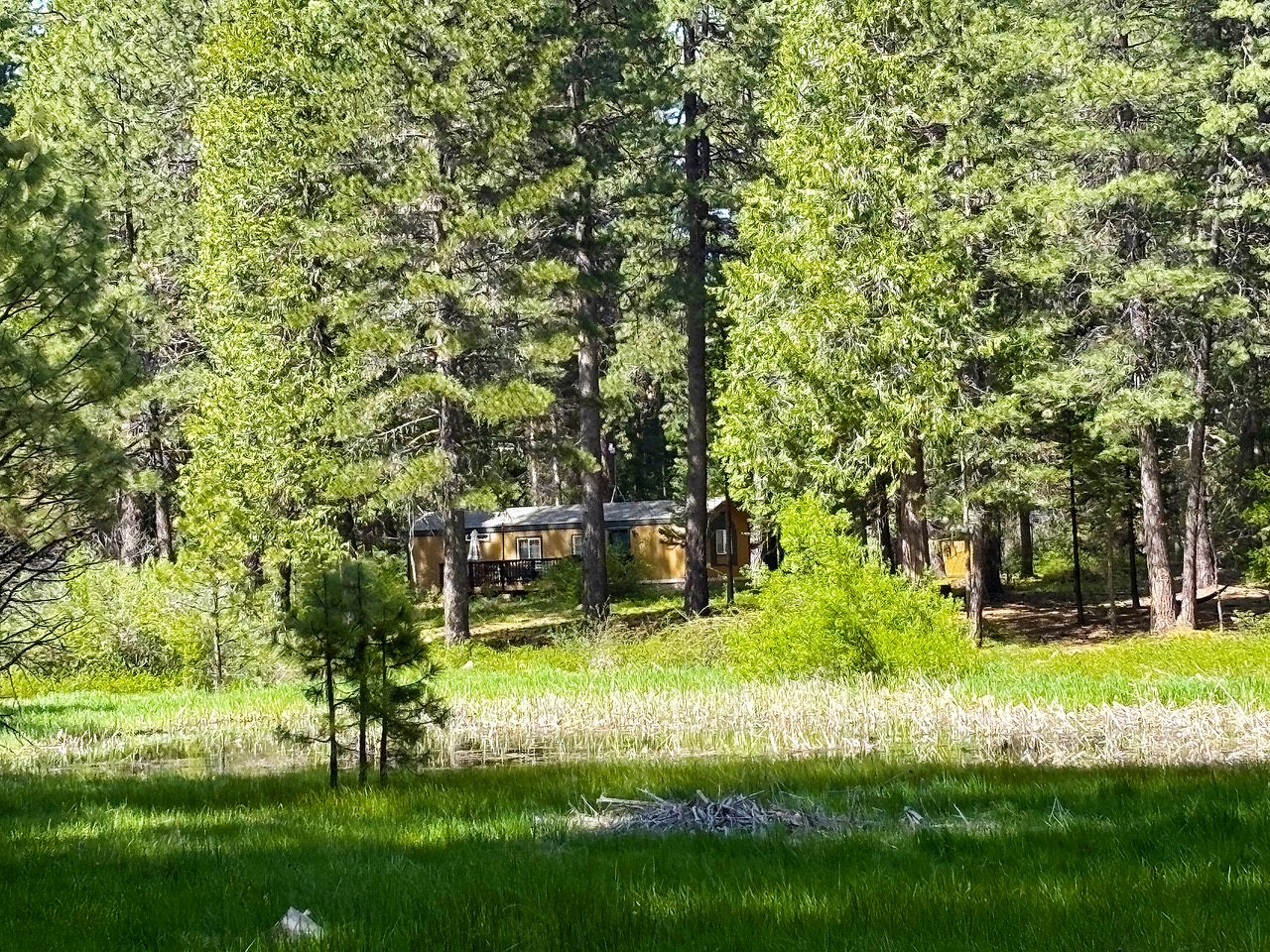 Cozy Cabin Escape with Pond, Creek & Firepit in Mount Shasta, California