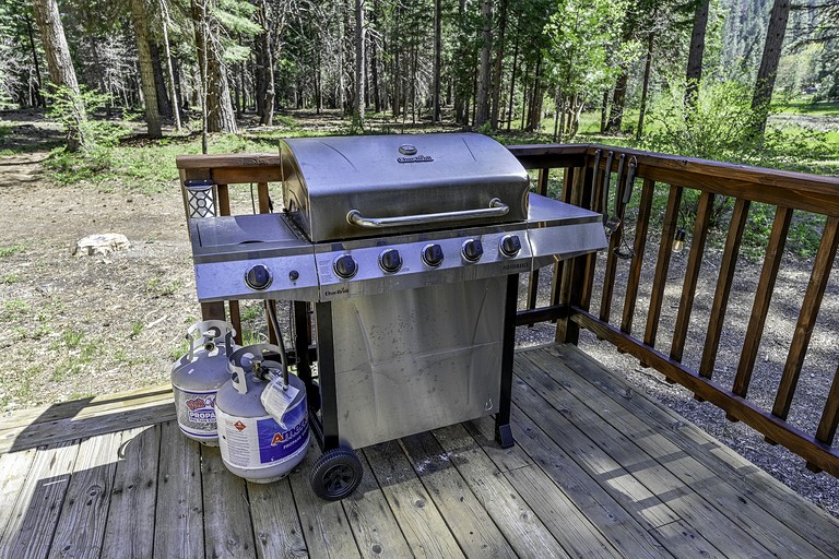 Vacation Rentals (United States of America, Mount Shasta, California)