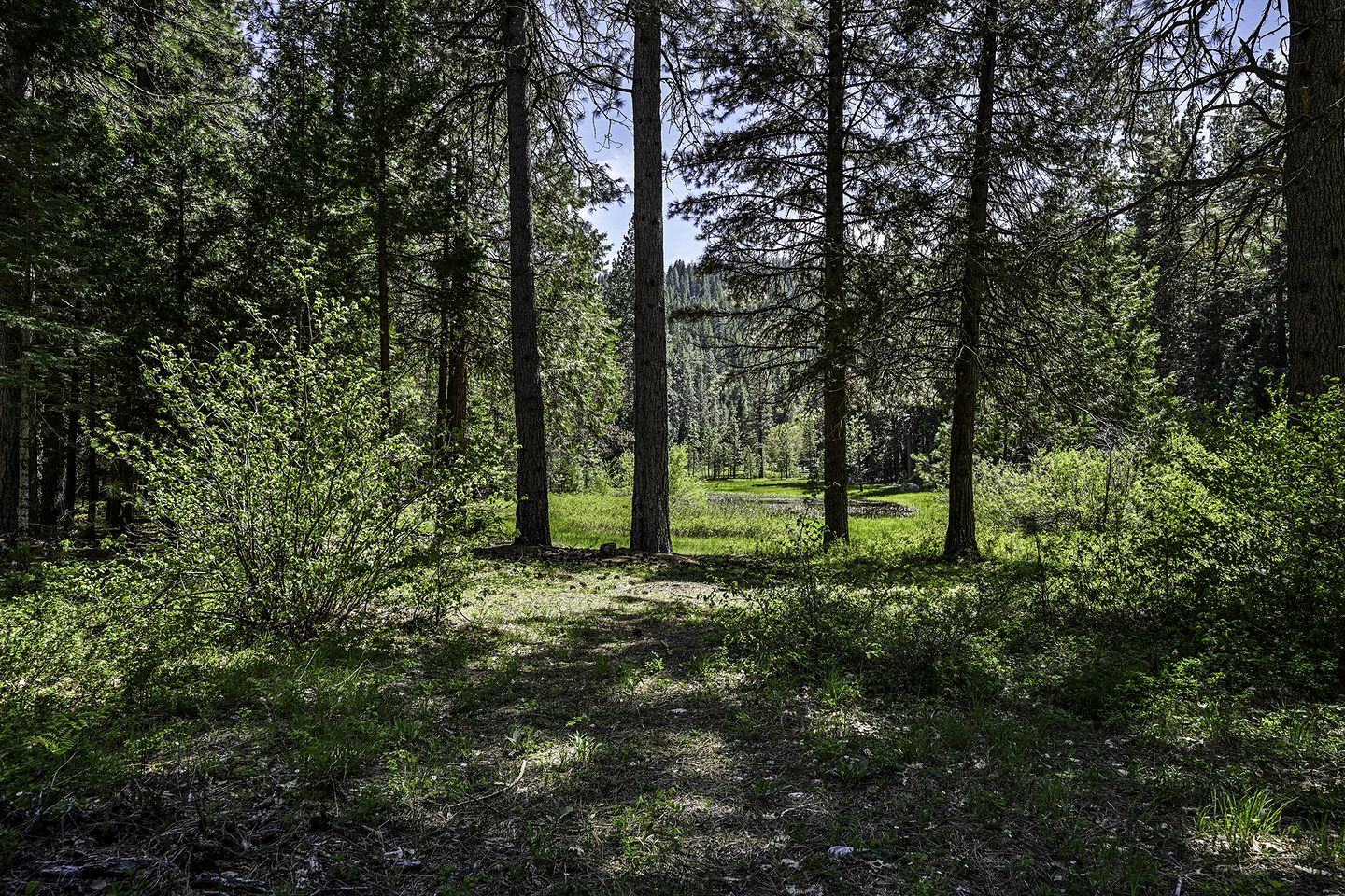 Cozy Cabin Escape with Pond, Creek & Firepit in Mount Shasta, California