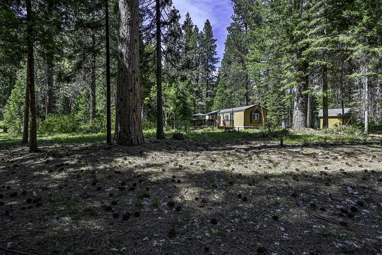 Vacation Rentals (United States of America, Mount Shasta, California)