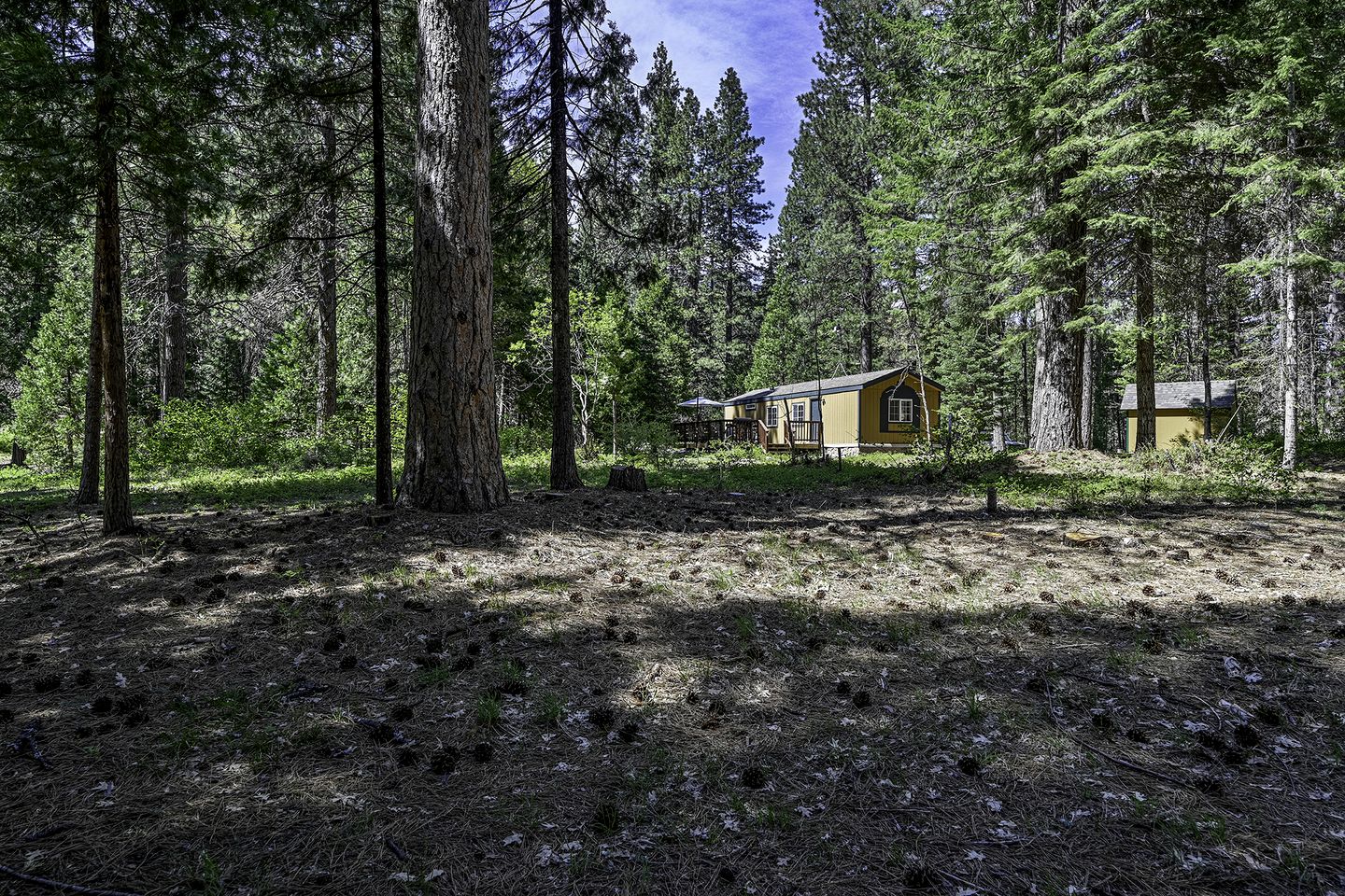 Cozy Cabin Escape with Pond, Creek & Firepit in Mount Shasta, California
