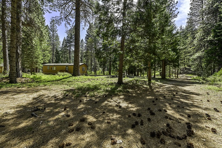 Vacation Rentals (United States of America, Mount Shasta, California)