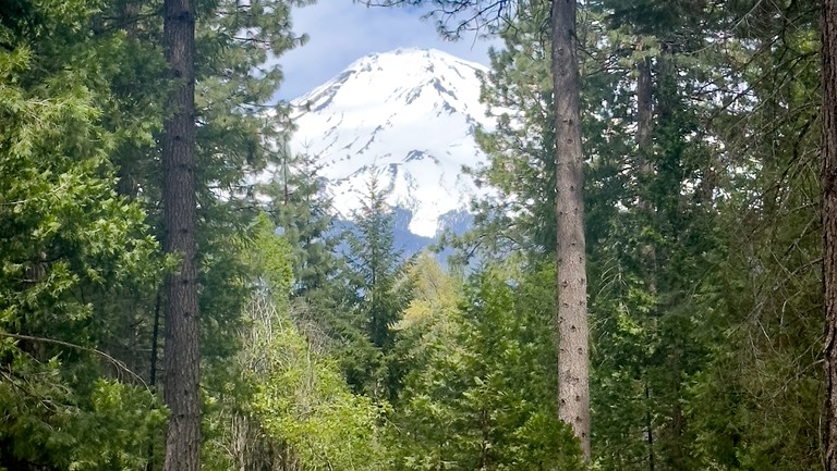 Vacation Rentals (United States of America, Mount Shasta, California)