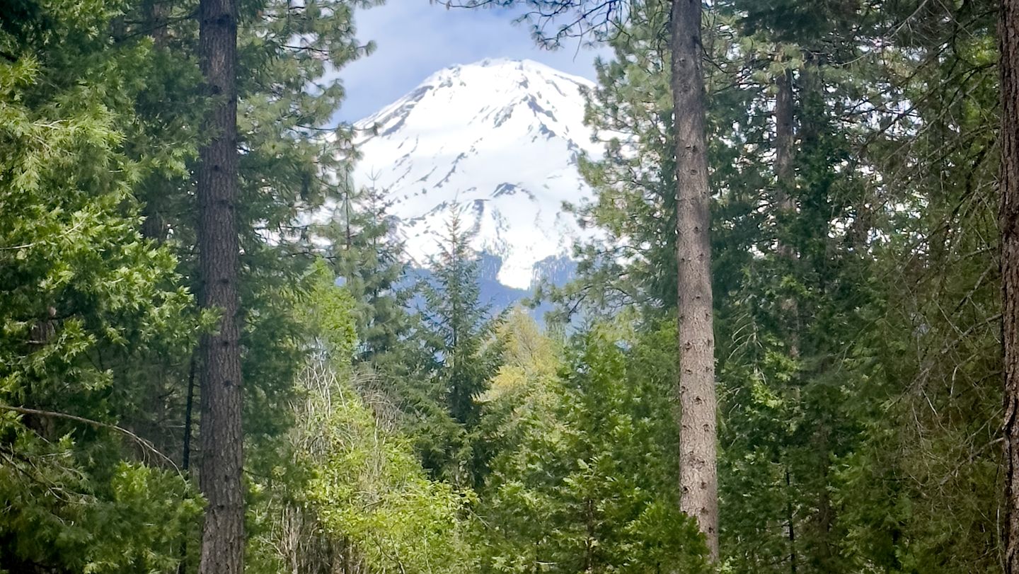 Cozy Cabin Escape with Pond, Creek & Firepit in Mount Shasta, California