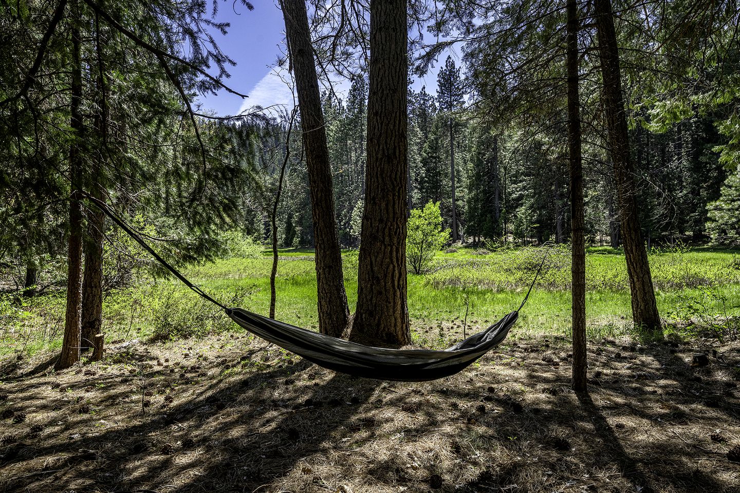 Cozy Cabin Escape with Pond, Creek & Firepit in Mount Shasta, California