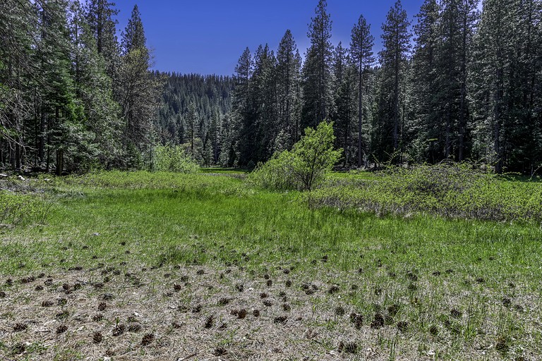 Vacation Rentals (United States of America, Mount Shasta, California)