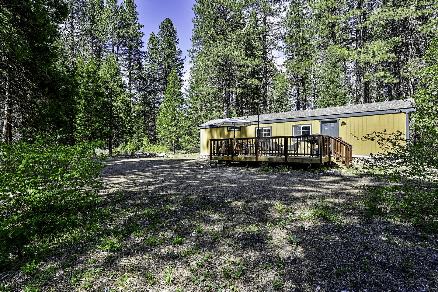 Cozy Cabin Escape with Pond, Creek & Firepit in Mount Shasta, California