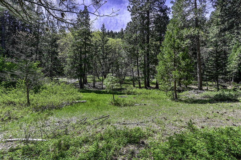 Vacation Rentals (United States of America, Mount Shasta, California)