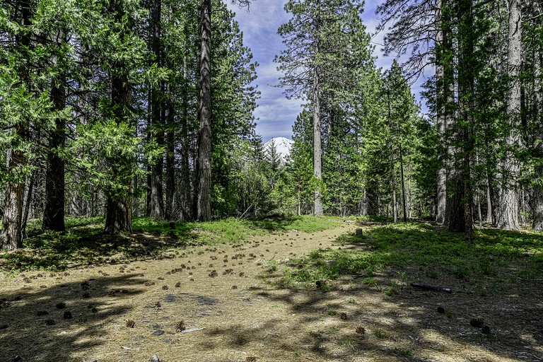 Vacation Rentals (United States of America, Mount Shasta, California)