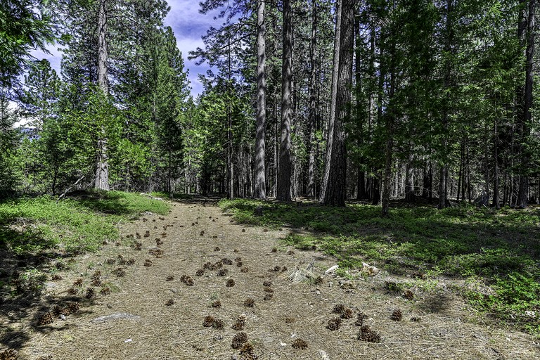 Vacation Rentals (United States of America, Mount Shasta, California)